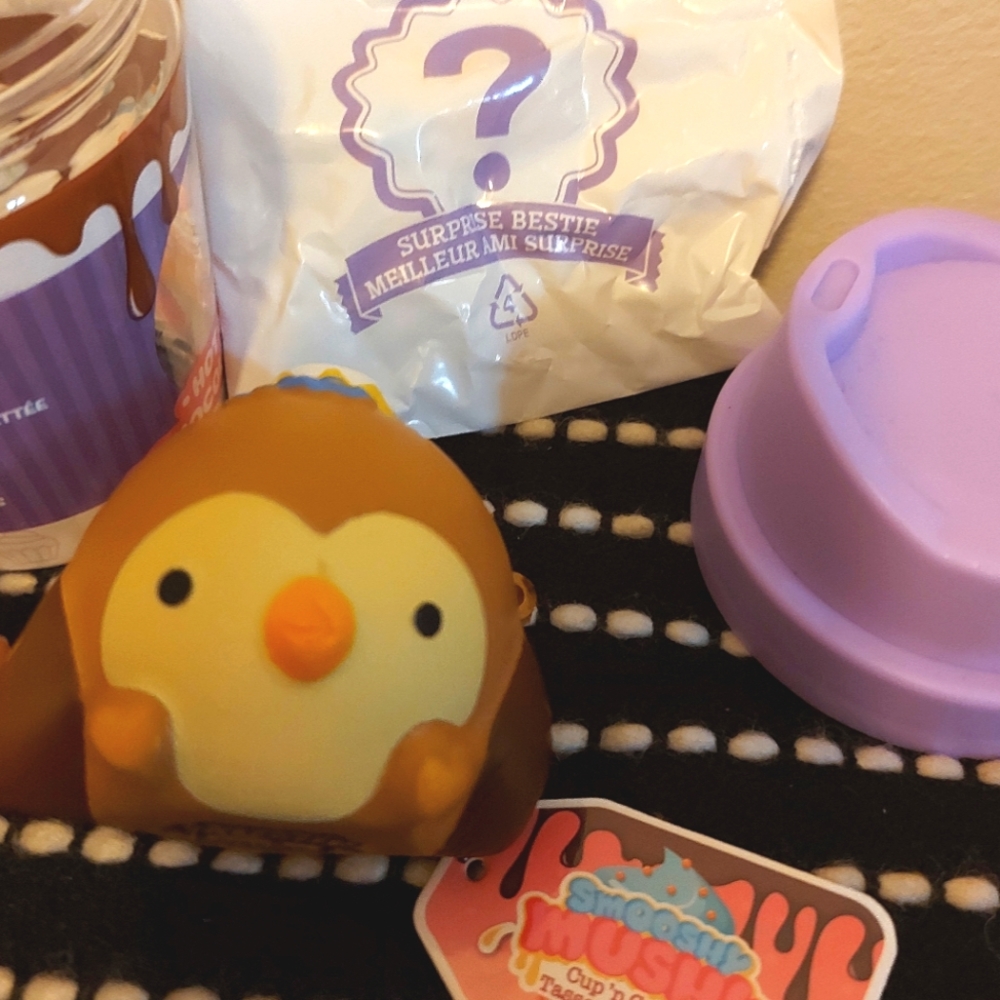 Smooshy Mushy owl